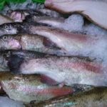 Яка риба безпечніша та смачніша: заморожена чи жива з магазину