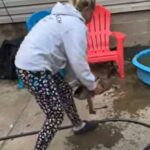 На відео потрапила качка, яка має дуже особливе хобі