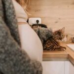Чи відчувають кішки вагітність господині і як саме