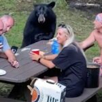 Це сімейство, що зібралося на лісовий пікнік, із задоволенням прийняло клишоногого у…