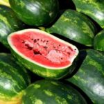Експерти назвали ознаку, яка вказує на те, що кавун купувати не можна