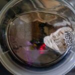 Які кольори одягу не можна прати разом: помилки 90 % людей