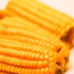 Качани стануть ще м’якшими та смачнішими: несподіваний спосіб варіння кукурудзи