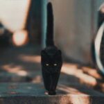 Звідки взялося переконання, що чорна кішка приносить нещастя?