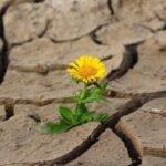 Запаси прісної води на планеті стрімко скорочуються