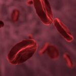 Названі прості способи для зменшення холестеринових бляшок
