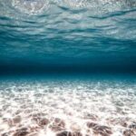 Перевернутий світ під водою: На морському дні виявлено аномальні піщані утворення