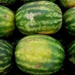 Як вибрати смачний кавун? Які методи працюють, а які — ні?