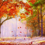 Як бути з міжсезонням та восени?