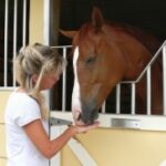 Як подружитися з конем?