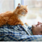 Хто для нас виховав ідеальних чоловіків?