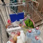 Морська капуста: як водорості зупиняють старіння мозку та повертають ясність думок