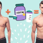 Креатин до і після: як ця популярна добавка впливає на ваш організм