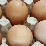 Забудьте про дорогі добавки: простий продукт на кухні зберігає секрет міцних кісток…