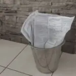 Сморід із відра для сміття зникне: просто насипте на дно те, що…