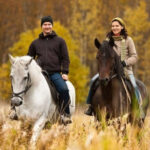 Верхова їзда замість зарядки