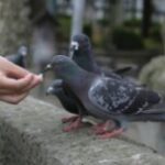 Куди ми поспішаємо? Як не пропустити Життя…