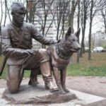 Чи можуть воювати тварини? Собаки.