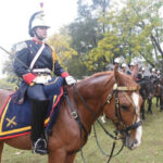 Чи можуть воювати тварини? Коні.