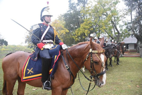 Чи можуть воювати тварини? Коні.
