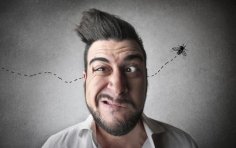 Дурність як есенція людської натури?