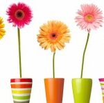 Чи можуть думки та слова бути небезпечними для життя?