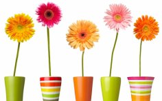 Чи можуть думки та слова бути небезпечними для життя?