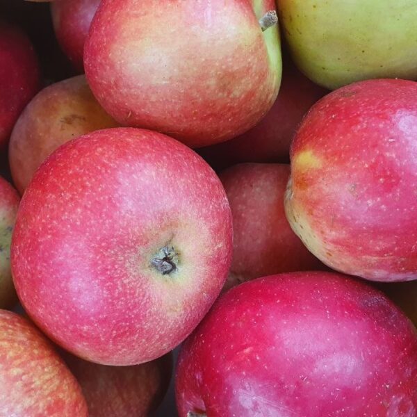 Секрети краси: чому не варто їсти яблука перед сном для&hellip;