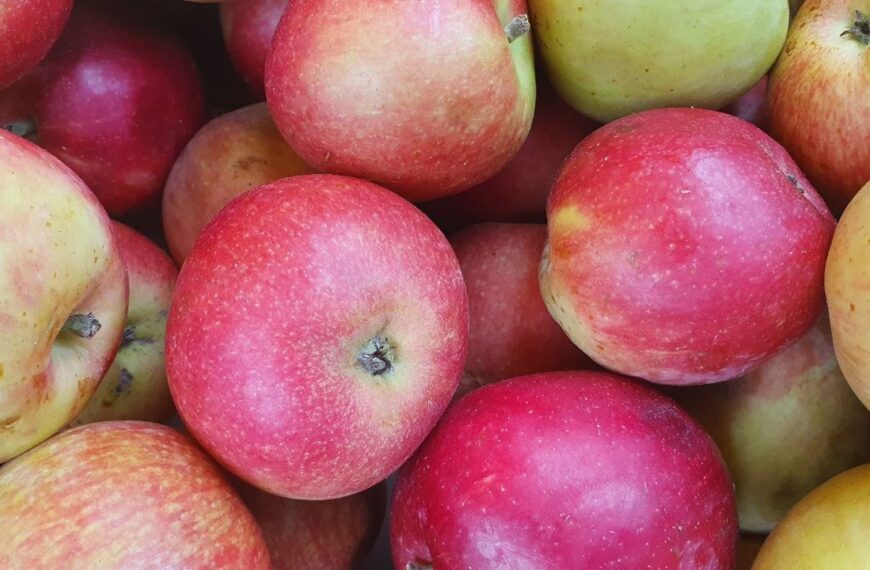 Секрети краси: чому не варто їсти яблука перед сном для здоров’я людини