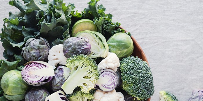 Чому варто їсти квасолю: джерело білка та клітковини 14