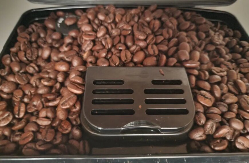 Чому кава бадьорить не всіх: генетичні секрети краси та здоров’я&hellip;