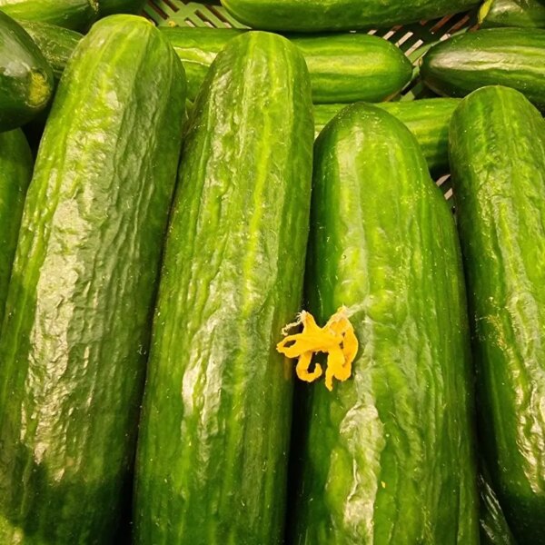 Чому огірок із молоком викликає діарею: розвінчуємо міф заради вашого&hellip;