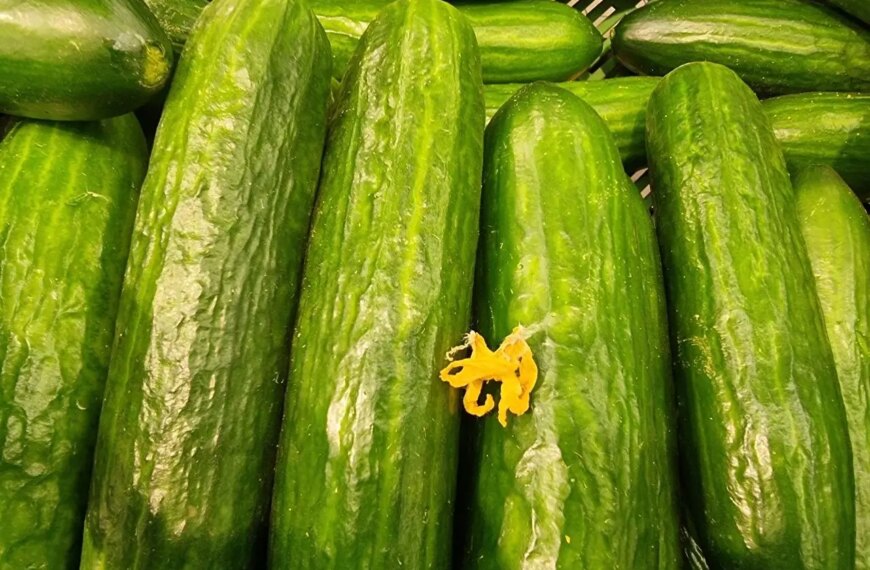 Чому огірок із молоком викликає діарею: розвінчуємо міф заради вашого&hellip;