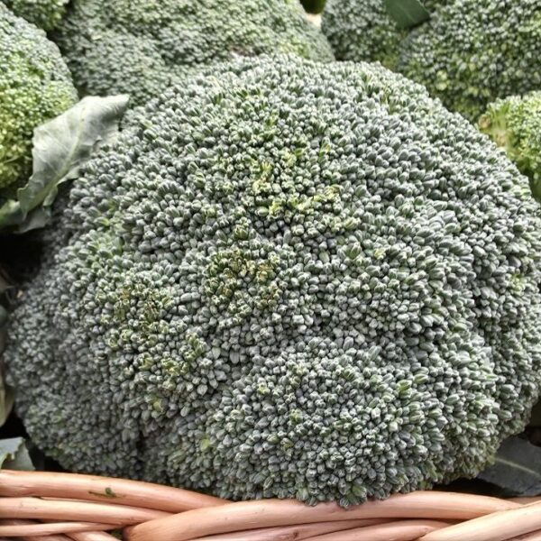 Секрети краси та здоров’я: як поєднати броколі та помідори для&hellip;