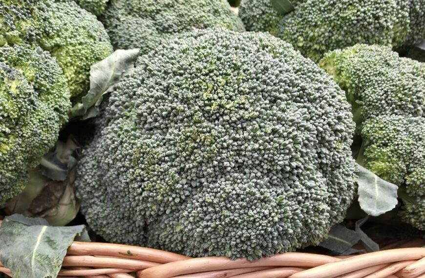 Секрети краси та здоров’я: як поєднати броколі та помідори для максимальної користі для здоров’я&hellip;