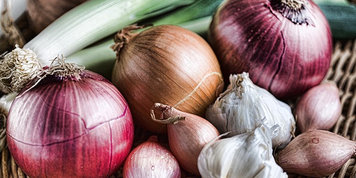 Чому варто їсти квасолю: джерело білка та клітковини 15