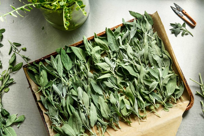 15 продуктів для покращення роботи мозку, пам'яті та концентрації 30