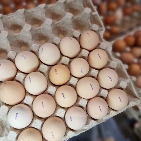 Секрети краси: чому варто їсти яйця окремо від хліба для&hellip;