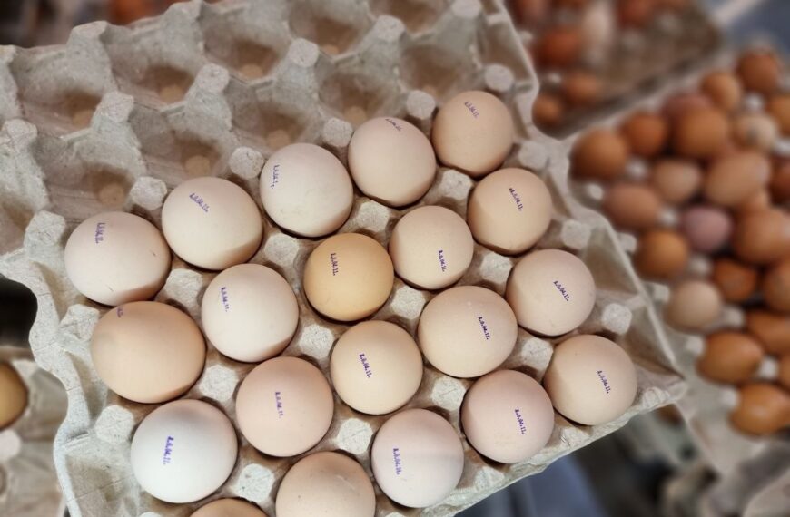 Секрети краси: чому варто їсти яйця окремо від хліба для чистої шкіри та як&hellip;