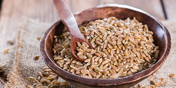 Чому варто їсти квасолю: джерело білка та клітковини 18