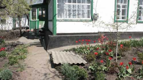 Наслідки успіху. Моя думка про рівний поділ спадщини між дітьми