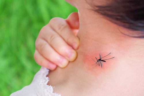 Геніальний спосіб захистити дітей від комах: ви про це не знали! Як легко позбутися&hellip;