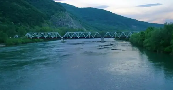 На Хустщині змінили русло Тиси за допомогою спецтехніки