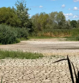 На Хустщині змінили русло Тиси за допомогою спецтехніки 14