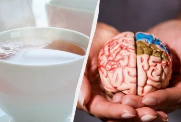 13 продуктів для підтримки здоров'я мозку: рекомендації вчених 6