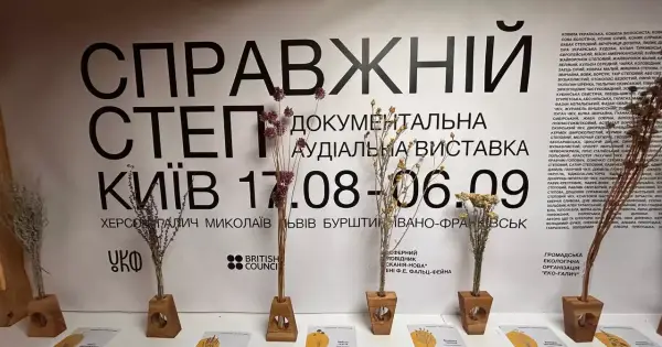 Київський музей демонструє 20-хвилинну подорож степом в інтерактивній інсталяції