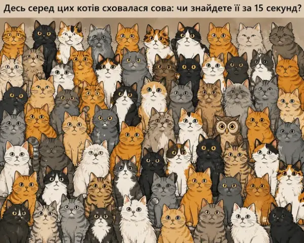 Знайдіть сову серед котів за 15 секунд 5 Знайдіть сову серед котів за 15 секунд 5