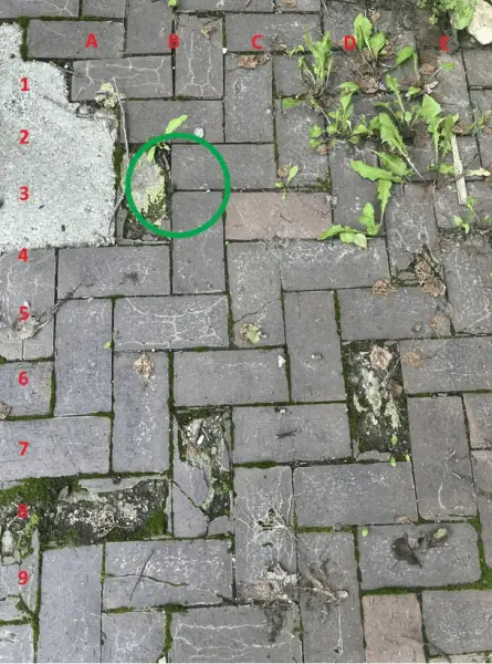 Перевірте зір: чи знайдете жабу за 10 секунд? 4