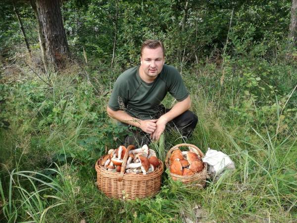 Три ознаки ідеального грибного місця від досвідчених грибників