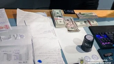 Смерть немовлят викрила нелегальний ринок сурогатного материнства в Києві 13 затримані_3 / © Національна поліція України